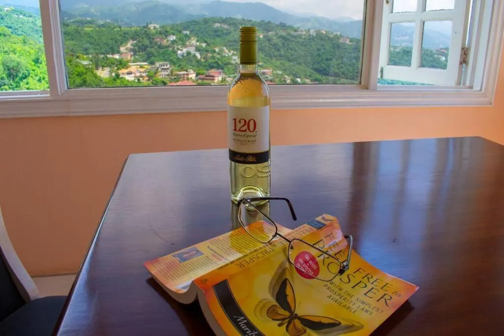 A Lovely Jamaican Get-Away Kingston Apartment